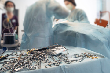 Surgical instruments including scalpels, scissors, forceps and tweezers are laid out on an operating table during a pet surgery at animal veterinary clinic