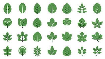 Fototapeta premium Collection of green leaf icons diverse botanical illustrations for design