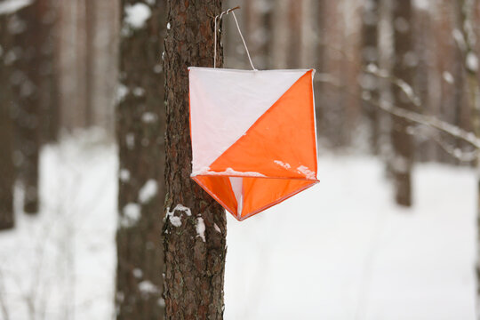 Winter orienteering control point mounted on a tree in a snowy forest, navigation sport and outdoor competition concept