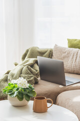 Laptop, Coffee Mug and Flower Pot on Table. Cozy Spring Home Workspace