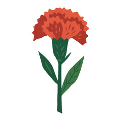 Fototapeta premium PNG Vibrant red carnation illustration