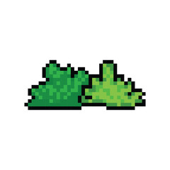 Pixel art nature green bush graphic isolated