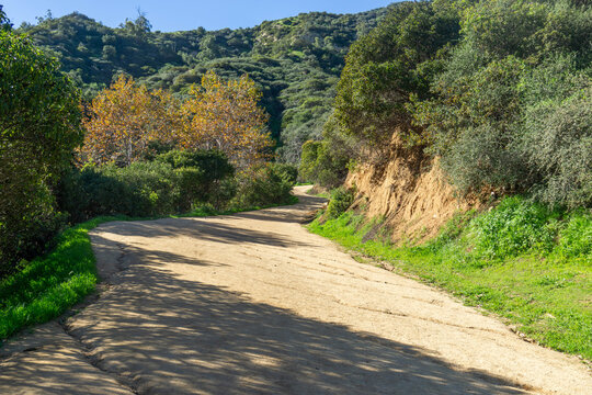 One of the hiking trails at Griffith Park, leading up to the observatory. 