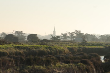 Au c&oelig;ur du marais 