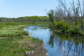 Kayakers on Milwaukee River in Kettle Moraine State Forest in Wisconsin. Tamarack Circle, Ice Age National Scenic Trail, and Lake to Lake Bike Trail. Mauthe Lake Refuge. 