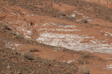 Close-up view of white salt deposits spreading across desert soil