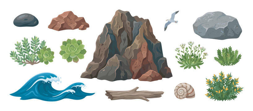 Collection of coastal nature elements featuring rocks, succulents, a sea wave, a seashell, driftwood, and a seagull, all rendered in a detailed and colorful cartoon illustration style