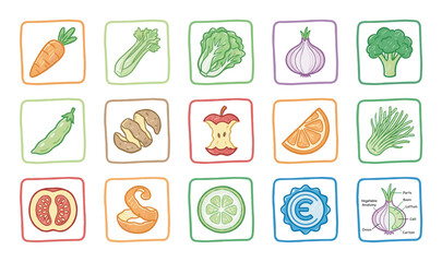 Large set of colorful hand-drawn icons featuring various vegetables, fruits, food waste, a currency symbol, and an educational anatomy diagram in a charming cartoon doodle style