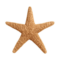 Obraz premium PNG Realistic textured starfish illustration.