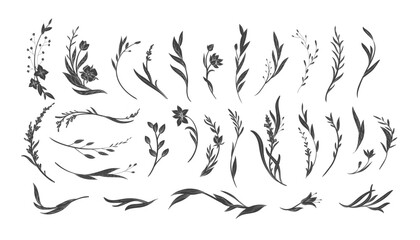 Set of elegant calligraphic botanical design elements in silhouette style. Floral decor and graceful branches. Wedding wildflowers for invitation save the date card © merfin