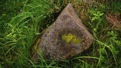 Stein in der Wiese mit zwei Herzen aus Moos