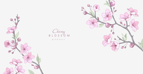Cherry blossoms. Spring background with flowers and brunch. Detailed botanic floral collection for Valentines day invitation, wallpaper