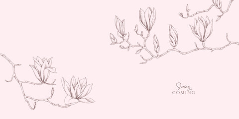 Magnolia blooming. Spring background with flowers and brunch. Detailed botanic floral collection for Valentines day invitation, wallpaper