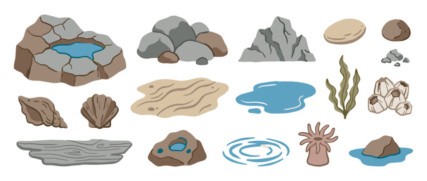 Set of tide pool and shoreline illustrations featuring various rocks, water puddles, seashells, algae, a sea anemone, and driftwood in a simple, clean, hand-drawn vector style