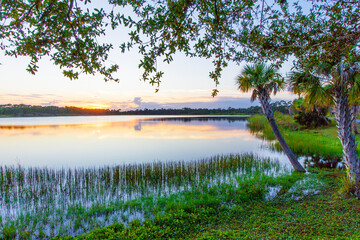 Fototapeta premium Sunset at Lake Zobel, George LeStrange Preserve, Fort Pierce, Florida
