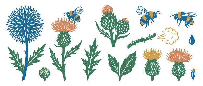Set of rustic thistle and bee illustrations in a charming linocut style, showcasing various botanical elements like flowers, spiky leaves, stems, and pollinating insects