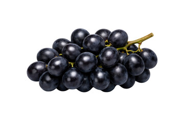 Fototapeta premium A bunch of dark purple grapes with a small stem is isolated on a plain field of bright white color alpha channel with white background