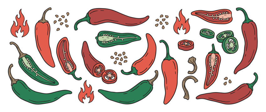 Hand-drawn doodle illustration set of hot chili peppers showing whole, sliced, and cross-section views with seeds and flame symbols for spicy food