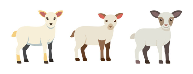 Three adorable baby lambs standing side by side simplified art