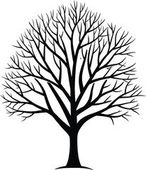 Obraz premium A bare tree silhouette on a white background