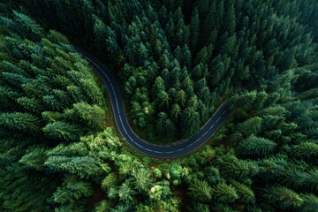 Curved road winding through dense green forest from above  