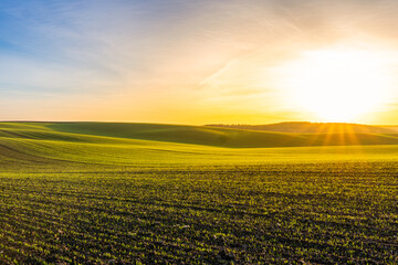 Sunrise over green fields in an open landscape during early morning hours in springtime
