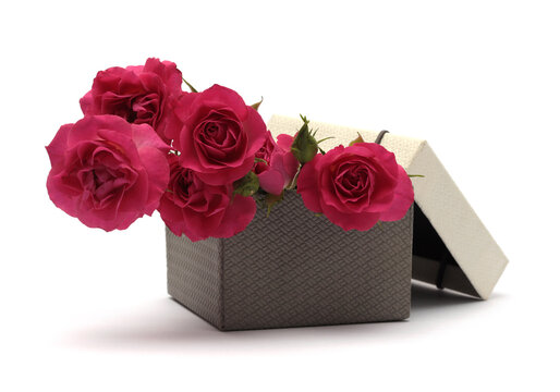Craft gift box with red rose flower on white background. Copy space minimalism style.