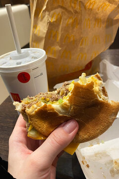 Enjoying a McDonald's Big Mac meal