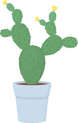 Сactus with yellow blossoms in flower pot. Green houseplant isolated on white background	