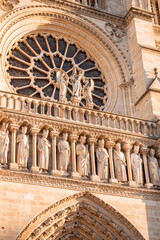 Creative view of Notre-Dame Cathedral in Paris 22