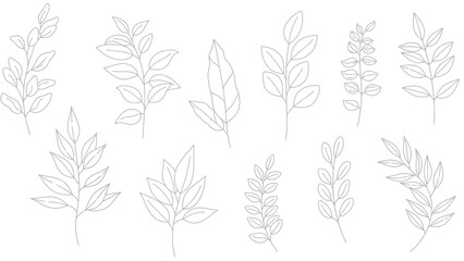 Collection of delicate hand drawn botanical line art featuring various styles of stylized leafy branches perfect for elegant natural design projects and organic illustration needs.