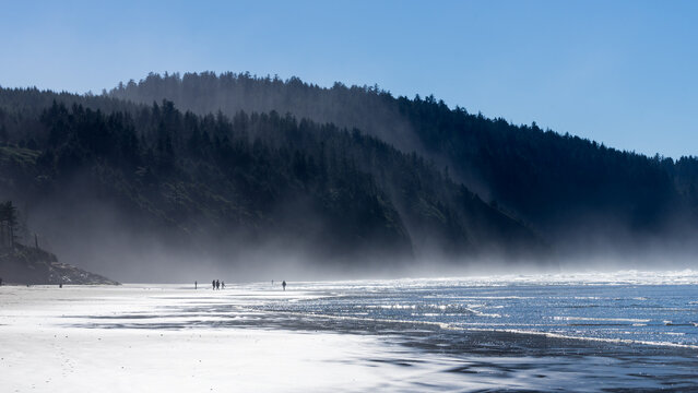 Cape Lookout State Park, Tillamook County, Oregon
