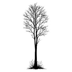 Black tree silhouette against white background