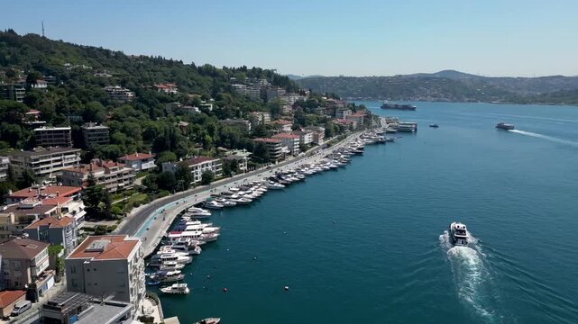 bebek