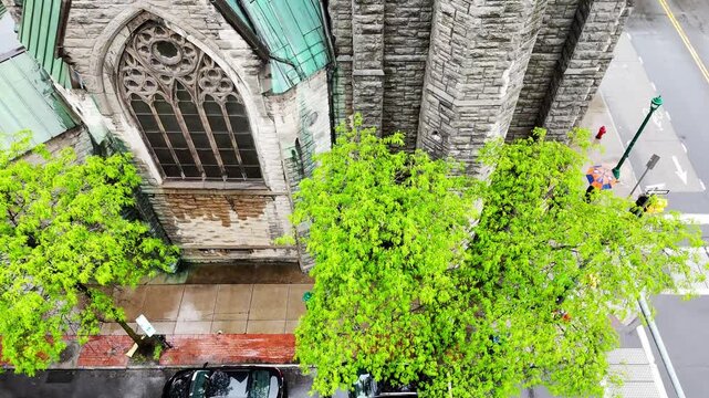 Mesmerizing Artistry III