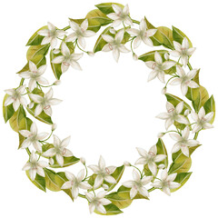 Fototapeta premium Leaf and Flower Wreath. Watercolor illustration of a round wreath with green citrus leaves. Perfect for New Year's designs, packaging, menus, branding, and food packaging.