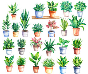 Fototapeta premium Architectural Entrée Illustration Set of Planters in Watercolor Style