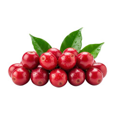 Obraz premium Ripe red coffee cherries and green leaves