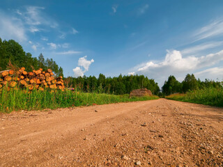 Obraz premium A pile of logs is stacked in a field. The sky is cloudy and green forest in the background, warm sunny summer day. Timber production industry. Traditional material supply for different business.