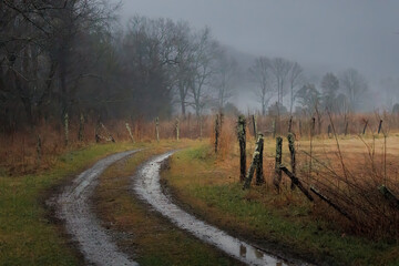 Lane leading into a field