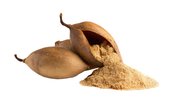 Baobab fruit and powder isolated
