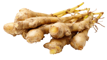 Fresh Galangal Roots