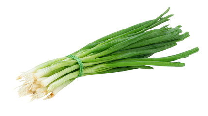 Fresh Green Onions Bunch