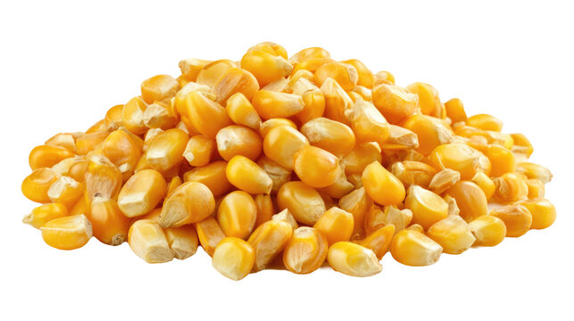 Pile of Dried Corn Kernels