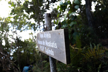 Wooden trail signpost in Waraira Repano National Park, Caracas, Venezuela. Travel guides, outdoor adventure content, concepts related to guidance and navigation