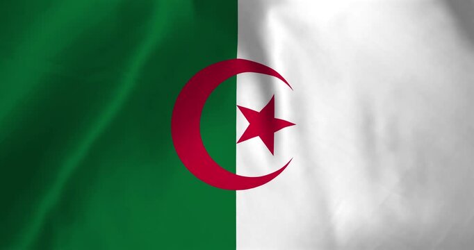 The Algeria flag waving with the wind background loop video animation