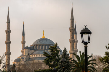 Fototapeta premium The Blue Mosque, or Sultanahmet Mosque, is the most important mosque in Istanbul. Istanbul landmarks. Türkiye. 