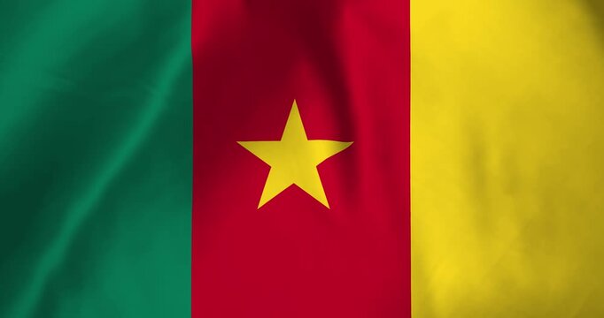 The cameroon flag waving with the wind background loop video animation