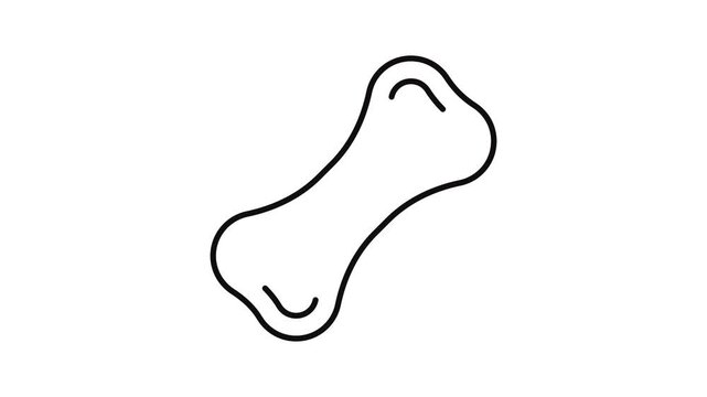 Bone Animated Linear Symbol on White Background for Sites, Video, Filming