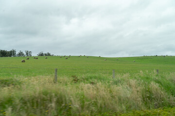 green field and blue sky